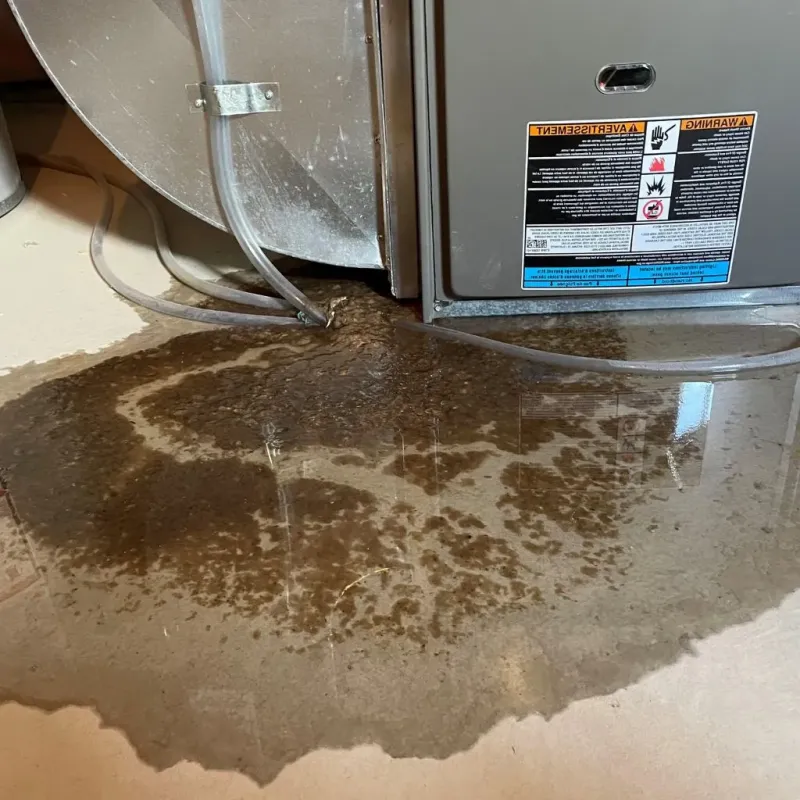 Pipe Burst and Leak Restoration in Latimer County, OK